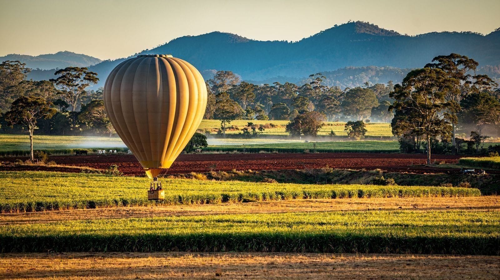 Hot Air Ballooning Over the Atherton Tablelands