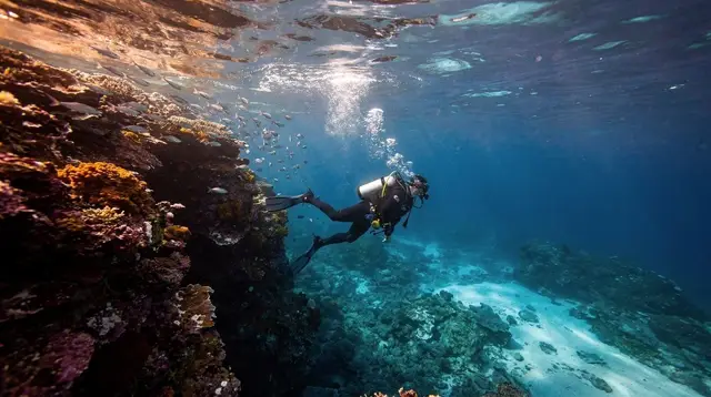 Introductory Dive vs Certified Diving in Cairns: What Each One Actually Lets You Do