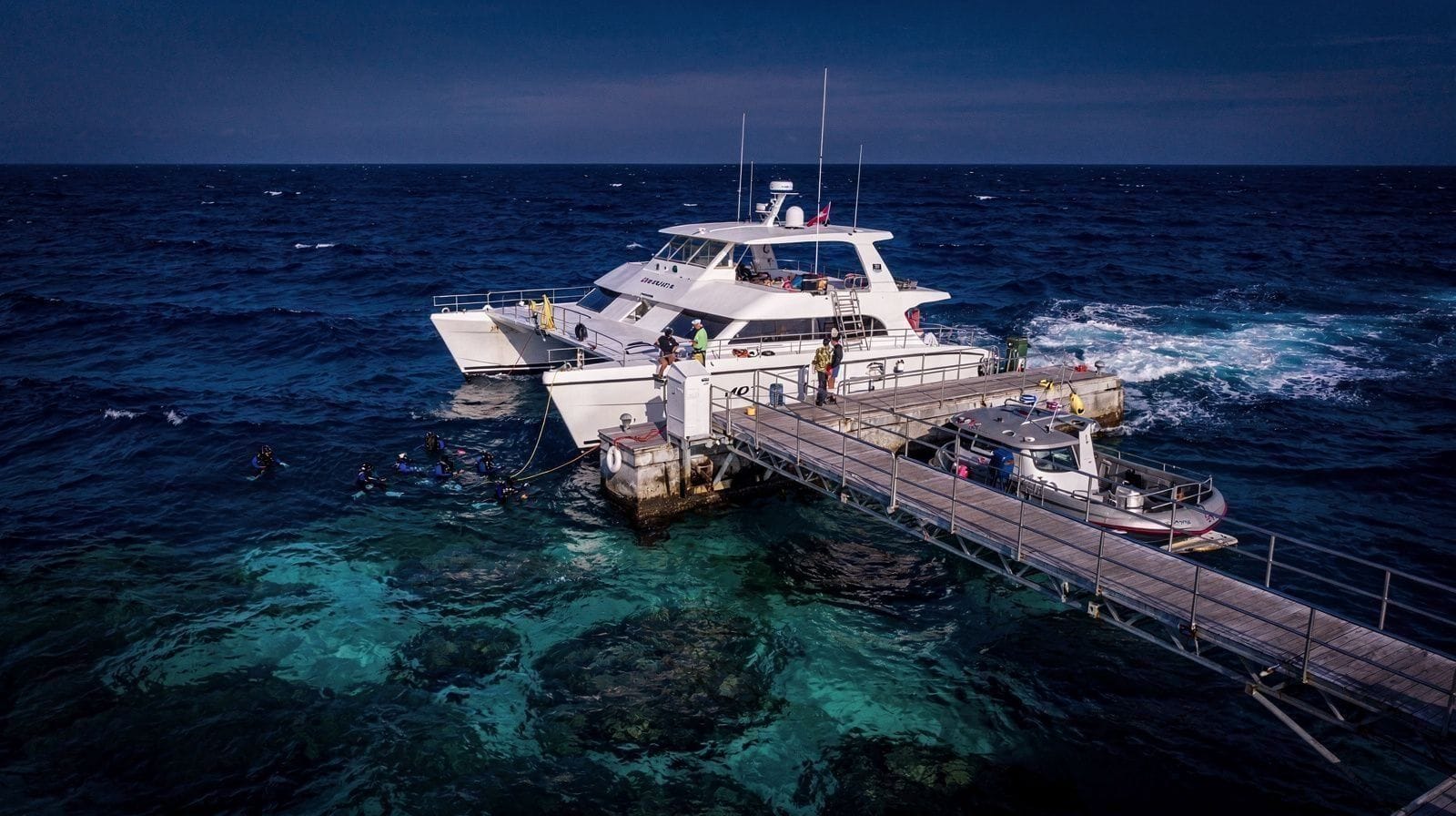 Is the Great Barrier Reef Dying? The Honest Answer