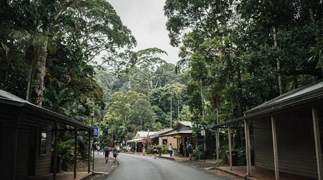 Kuranda Attractions Worth Your Time (And the One That Isn't There Anymore)