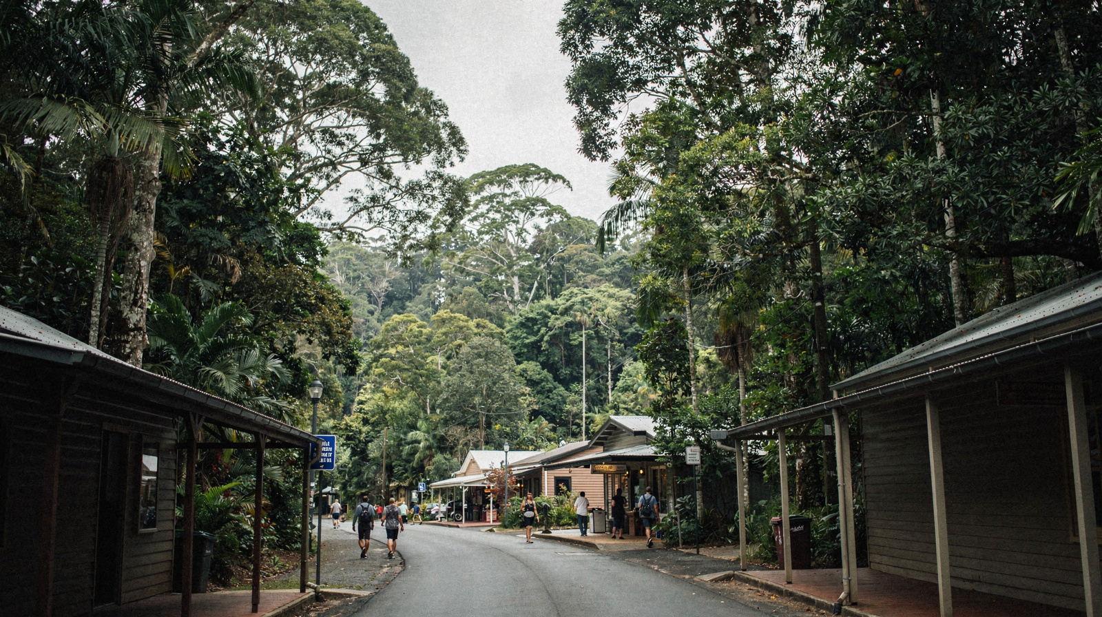 Kuranda Attractions Worth Your Time (And the One That Isn't There Anymore)