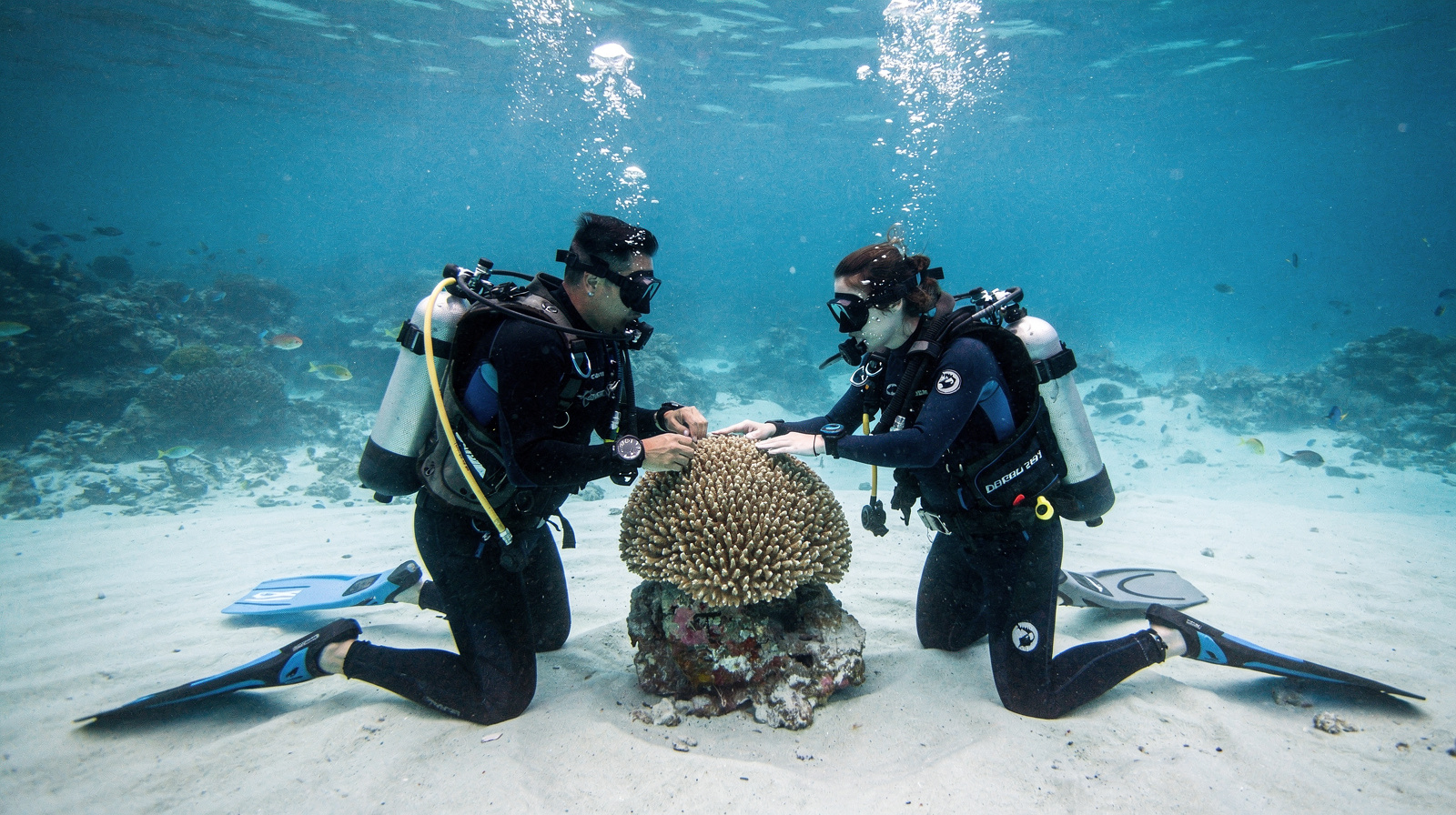 Learn to Dive in Cairns: The PADI Open Water Course