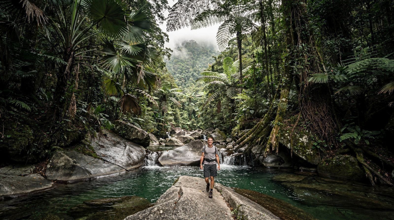Mount Bartle Frere and Wooroonooran National Park
