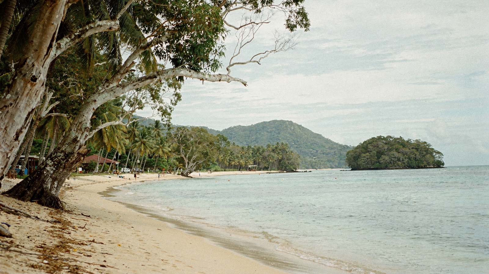 Palm Cove: Cairns' Quiet Beachfront Village in the Northern Beaches