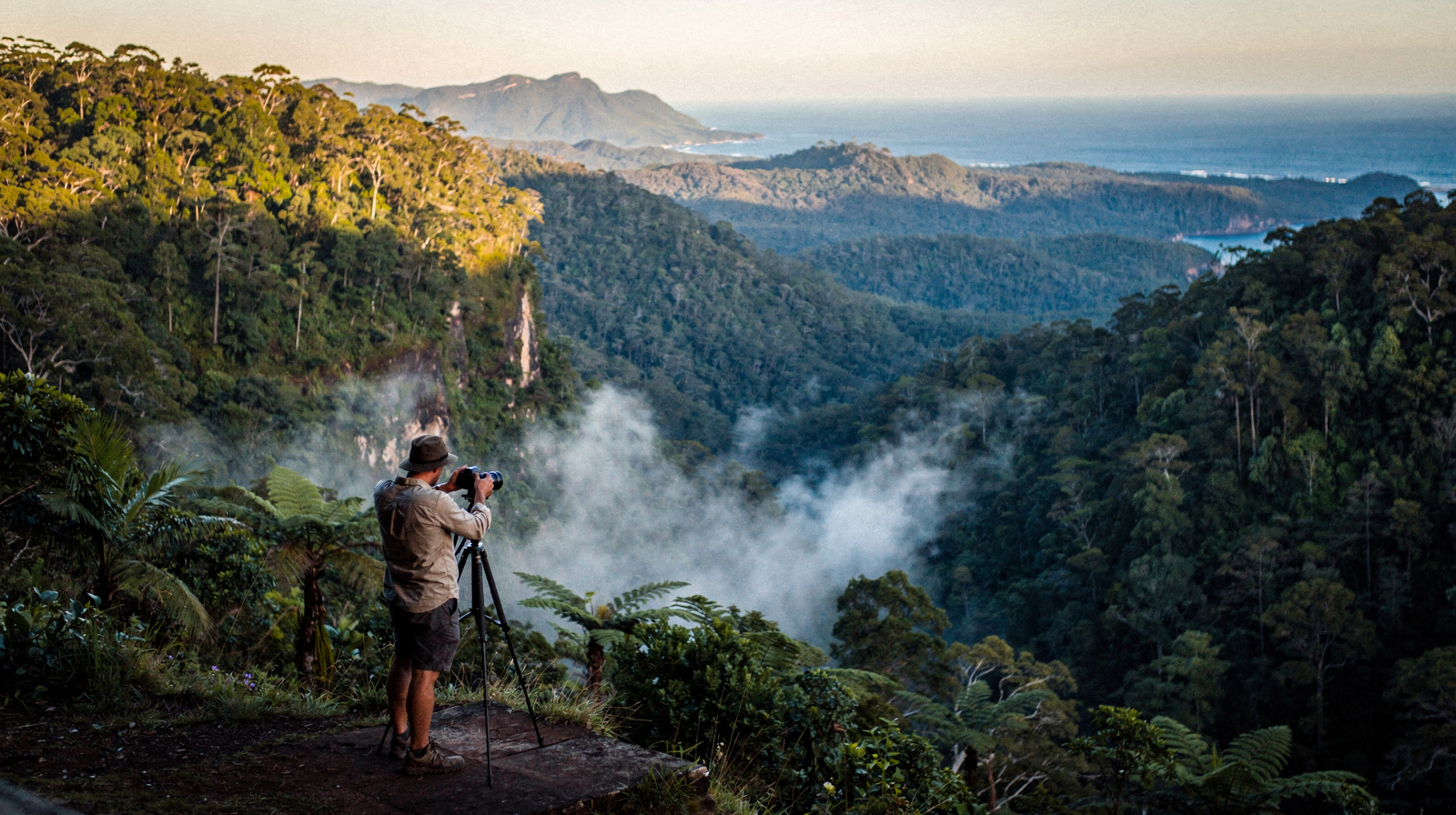 Photographing the Daintree and the Reef