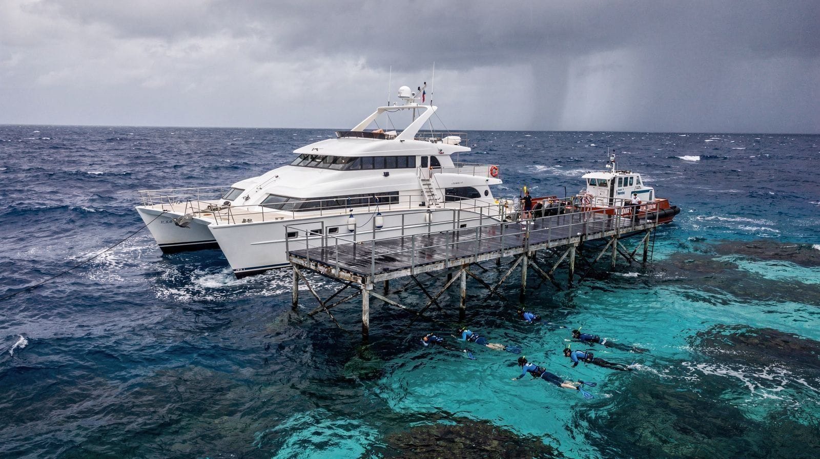 The Reef Tax Nobody Mentions at the Counter