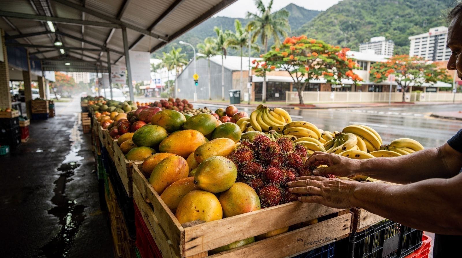 Rusty's Markets: The Real Food Market of Cairns