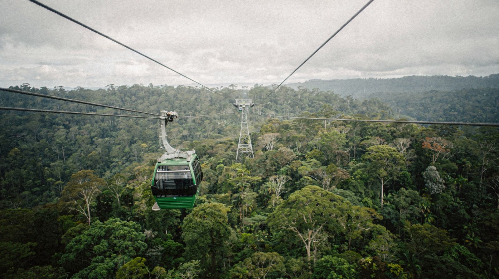 Skyrail vs Kuranda Scenic Railway: Which One Should You Take?