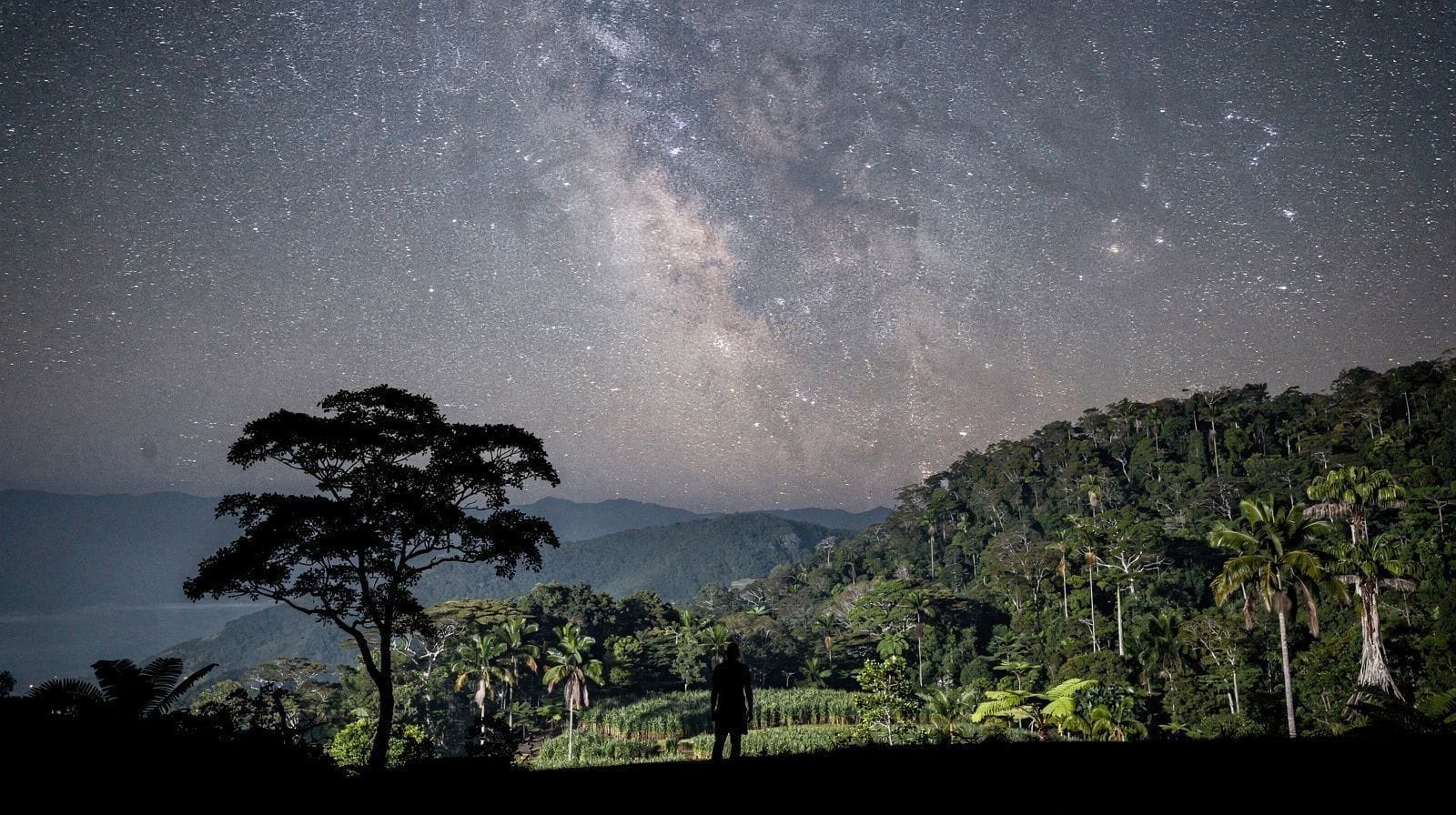 Stargazing and Night Tours on the Atherton Tablelands