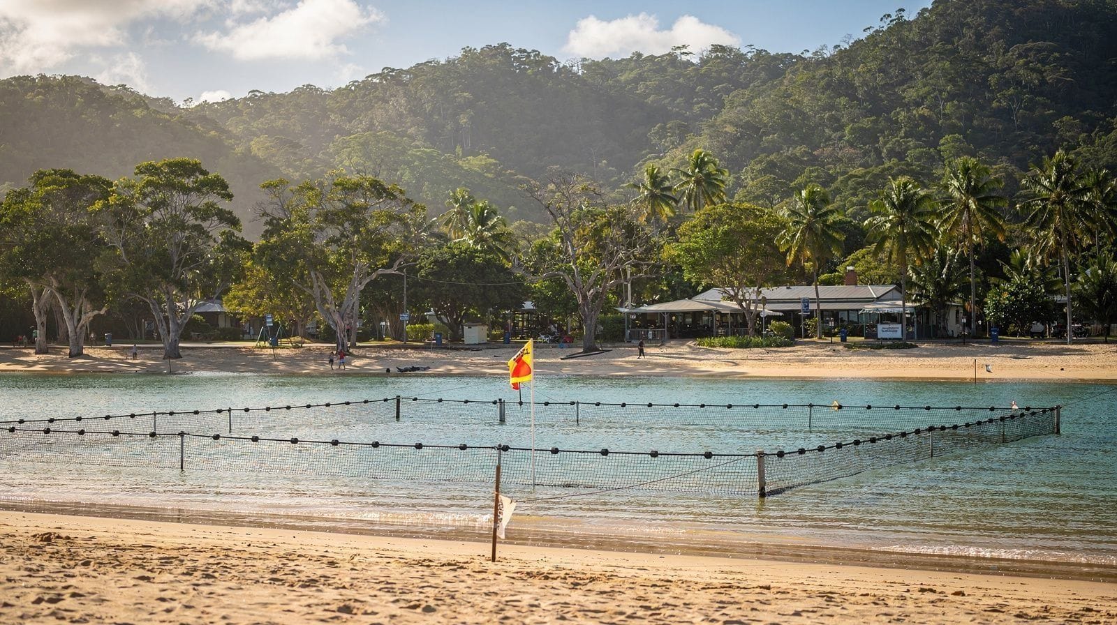 Stinger Season Explained: Cairns Jellyfish Safety, November to May