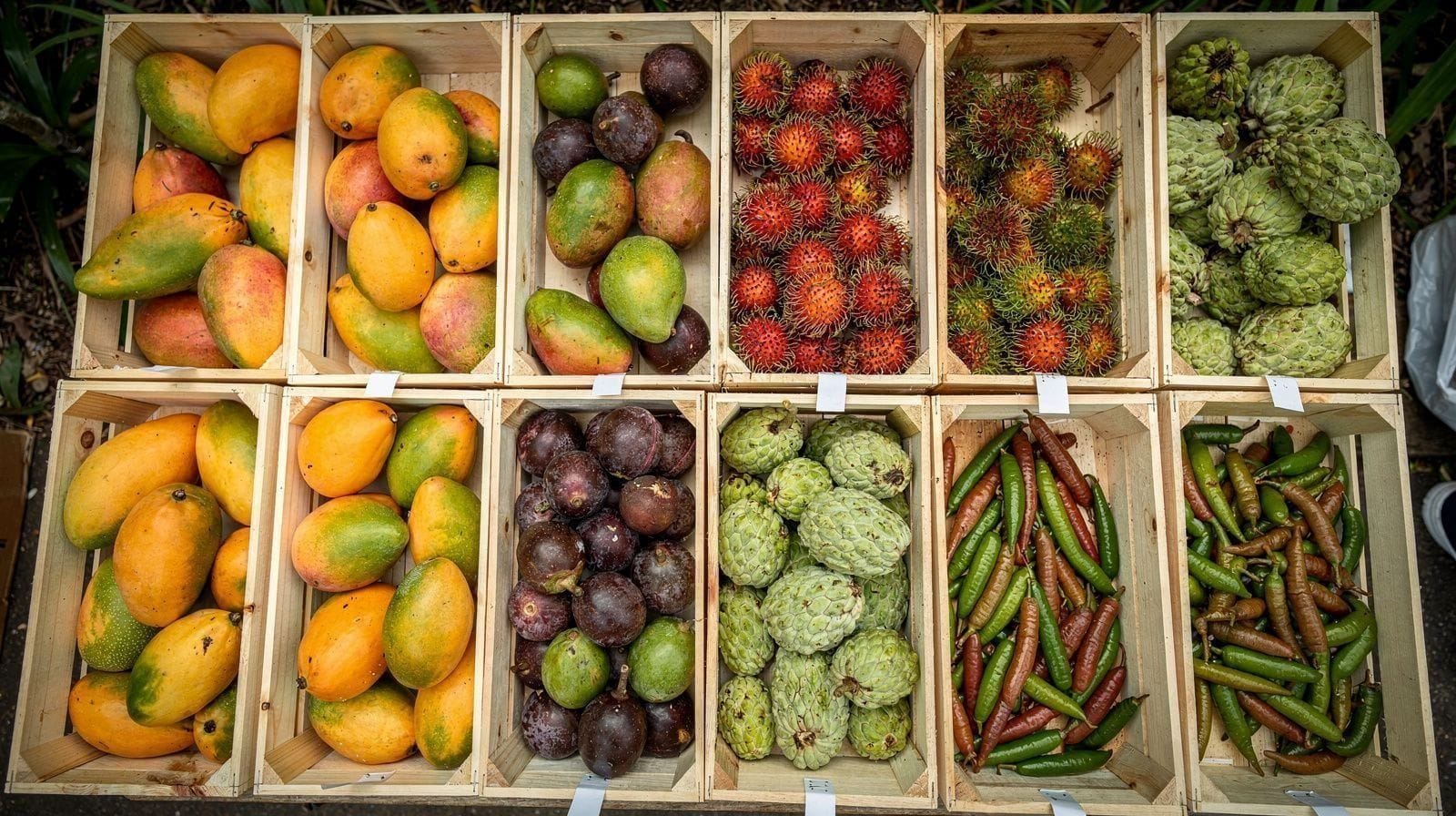 Tropical Fruit of Far North Queensland: The Atherton Tablelands Produce Trail