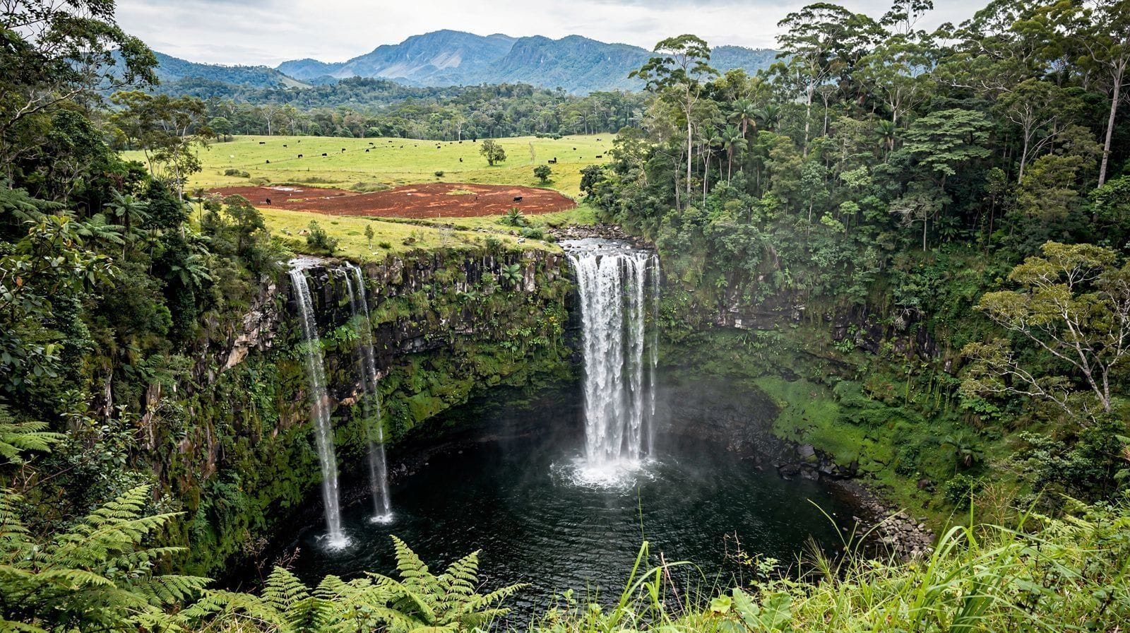 The Waterfall Circuit: Millaa Millaa, Zillie and Ellinjaa Falls