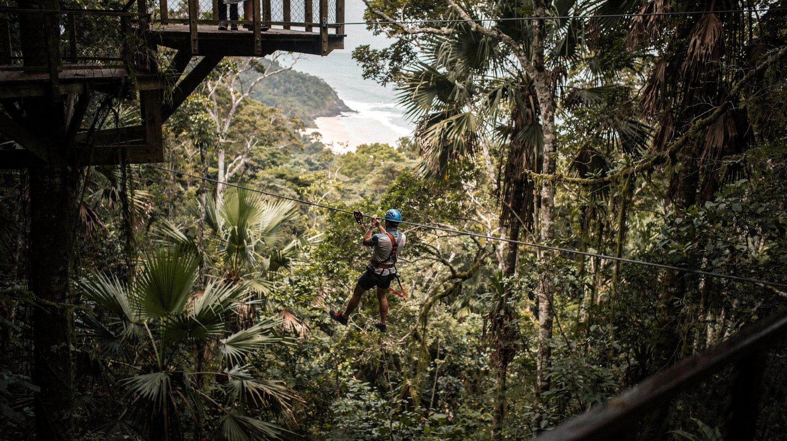 Ziplining and Canopy Tours at Cape Tribulation