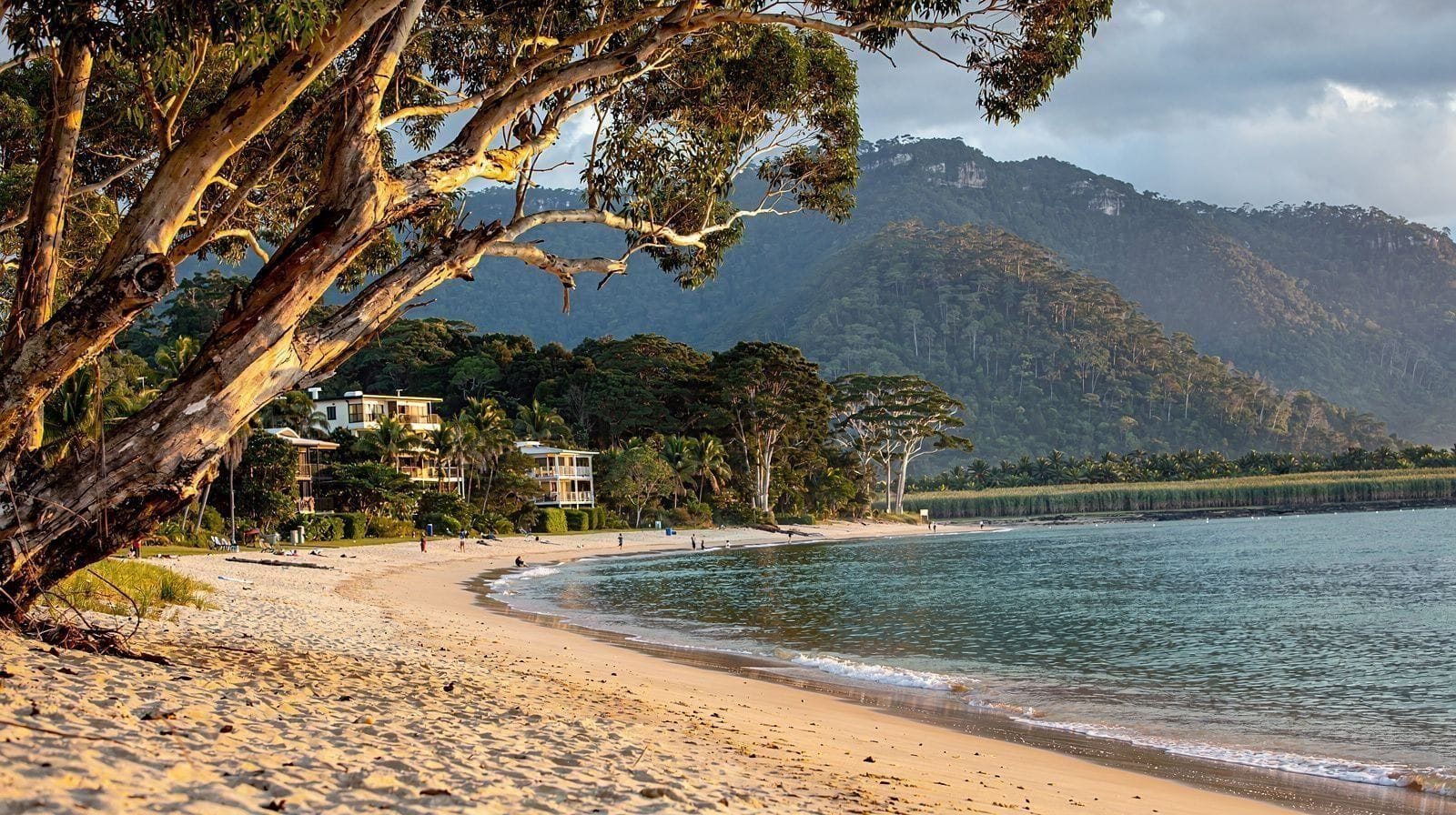 A 7-Day Cairns Honeymoon: Palm Cove, Port Douglas & the Reef