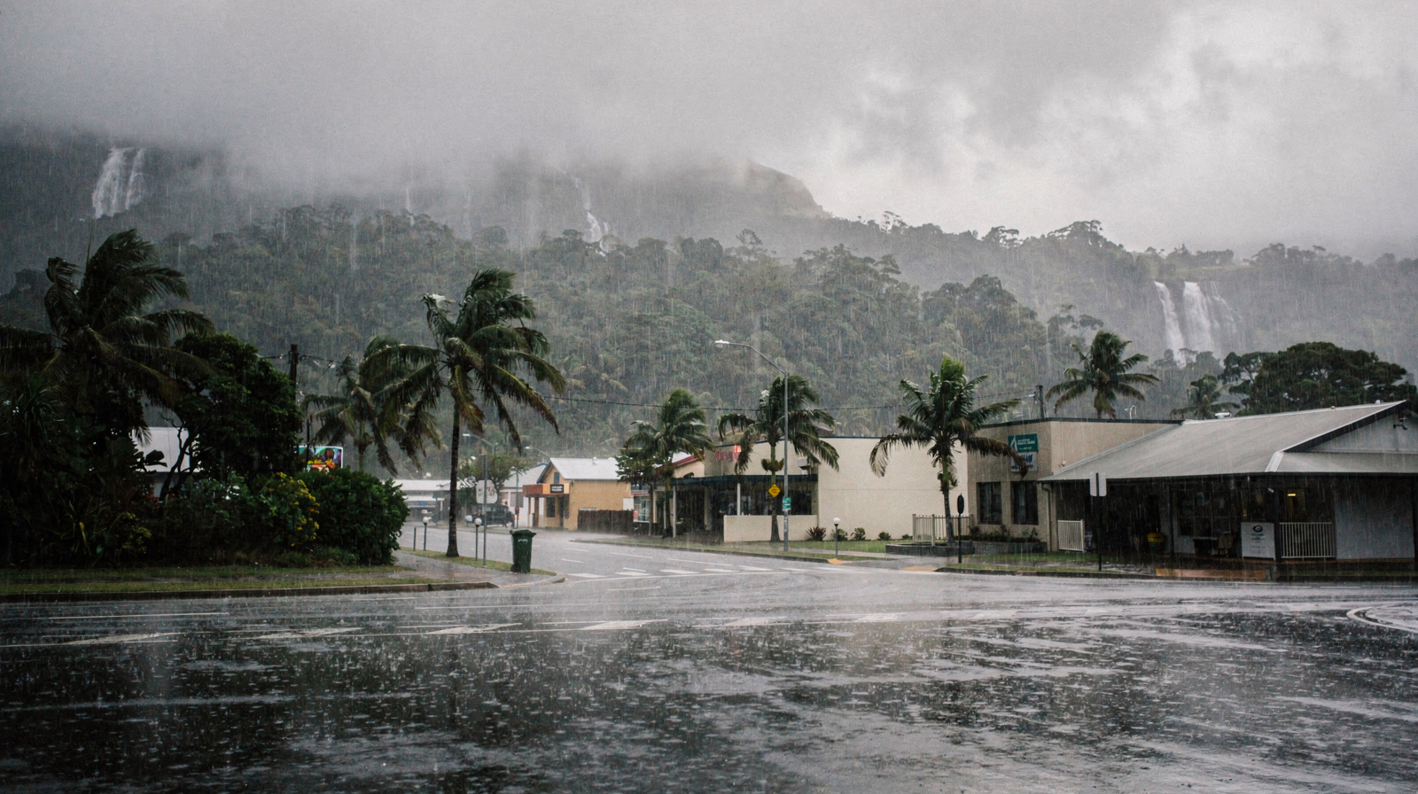 Cairns in the Wet Season: A 5-Day Waterfall & Rainforest Itinerary