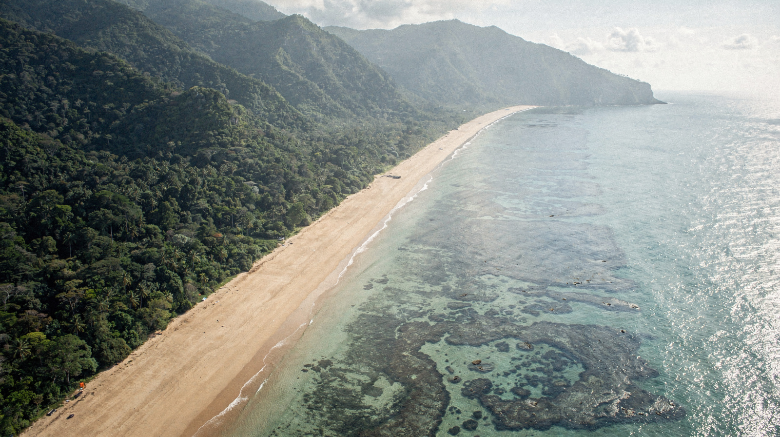 Three Days in Cairns: The Outer Reef and the Daintree