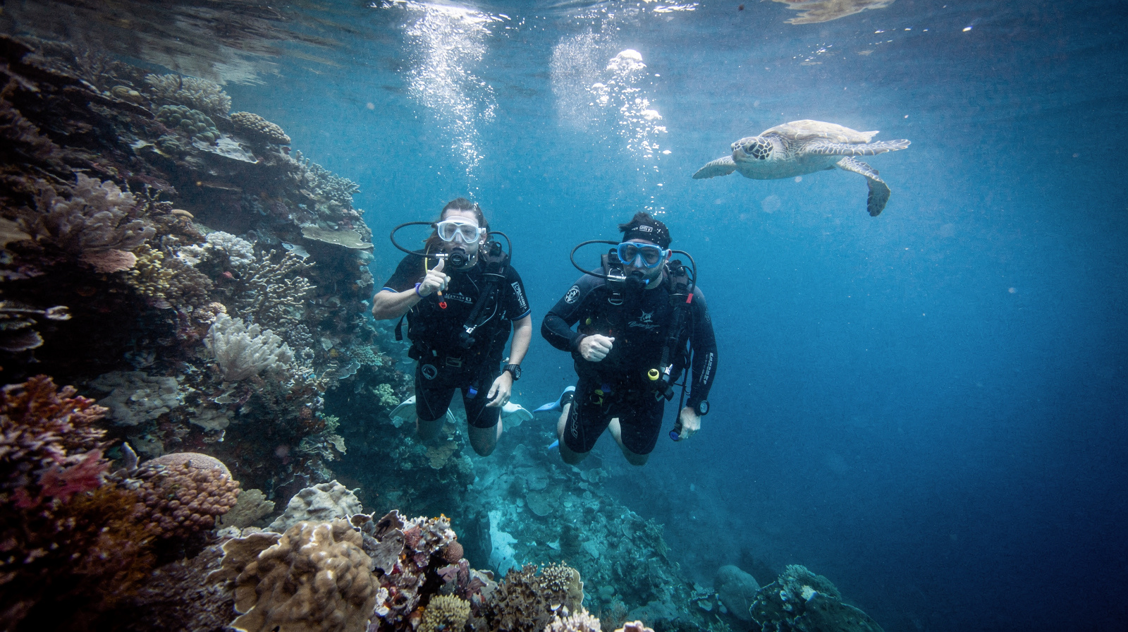 Diving Week Cairns: PADI Open Water Then a Liveaboard