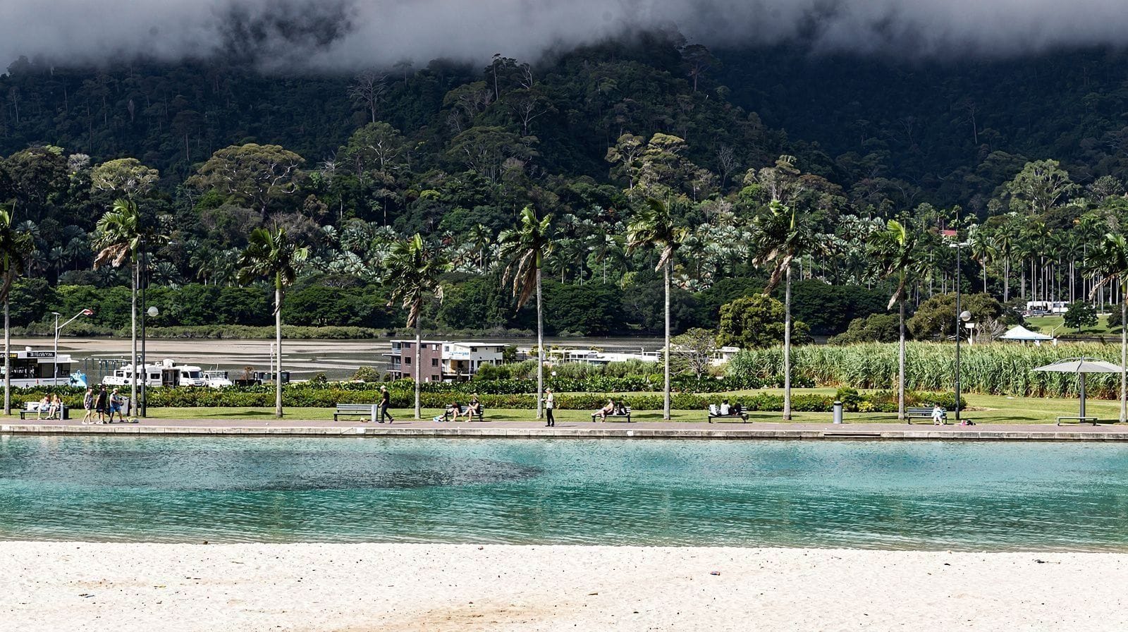 One Week in Cairns: Reef, Rainforest and the Tablelands