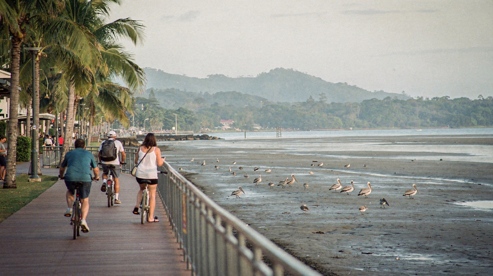 Three Days in Cairns: The Classic First Visit