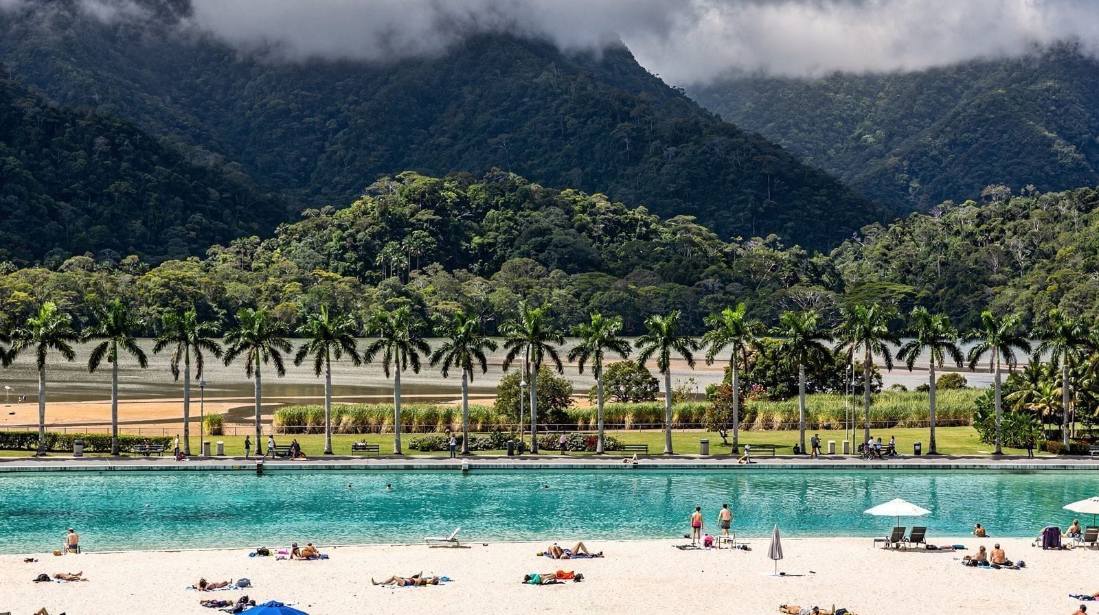 Two Days in Cairns: A Reef Day and a Rainforest Day